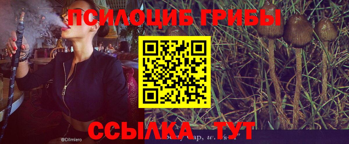Псилоцибиновые грибы Magic Shrooms Стрежевой