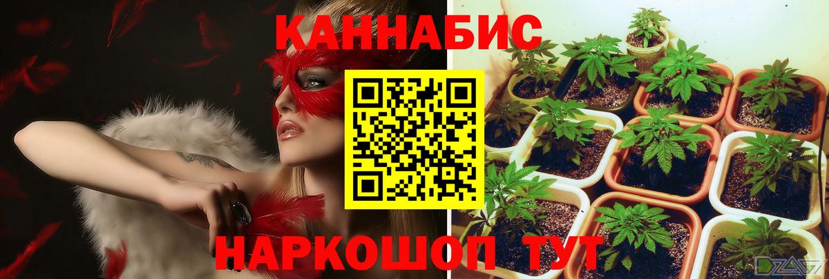 Бошки марихуана Ganja Стрежевой